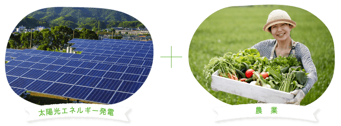 ミライ型農業プロジェクトの目的 ソーラーシェアリング事業を通して、持続可能なエネルギー社会へ貢献する