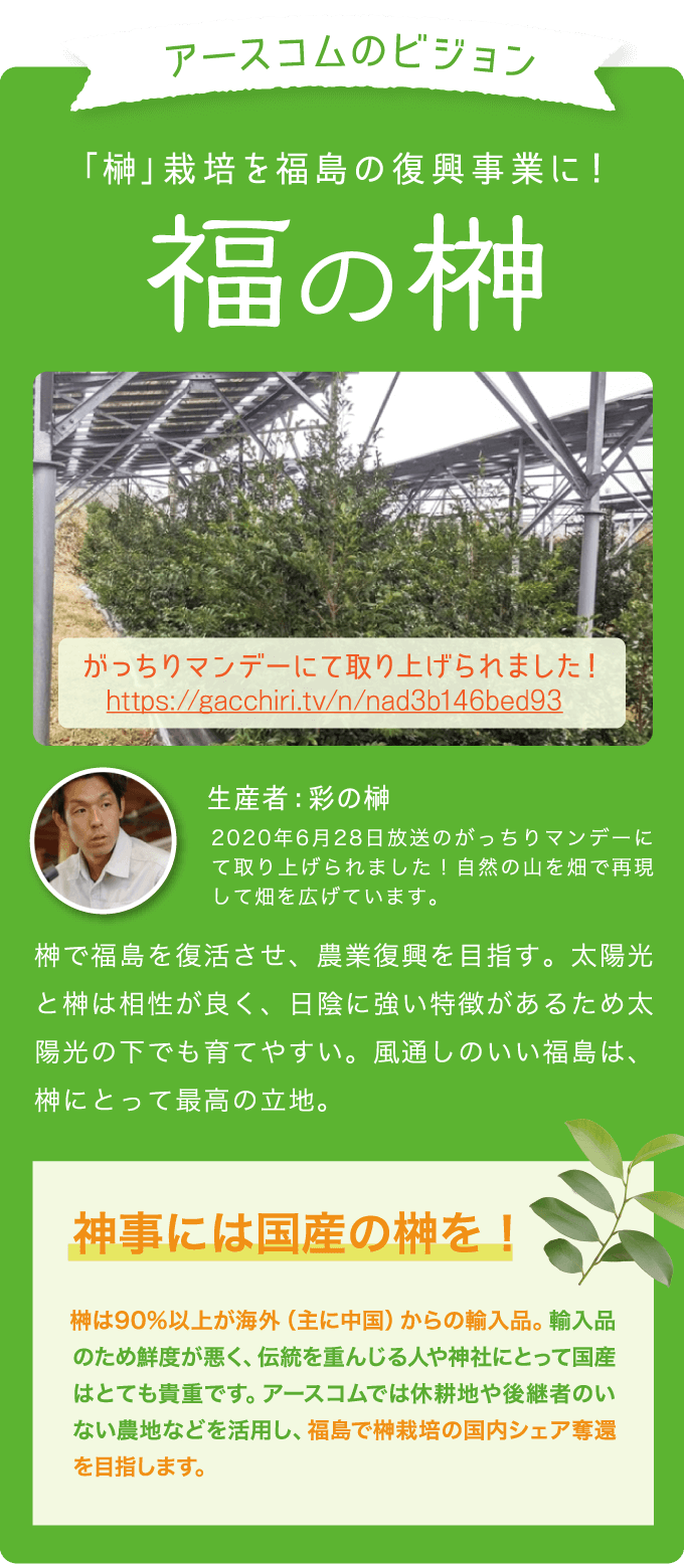アースコムのビジョン 「榊」栽培を福島の復興事業に！福の榊