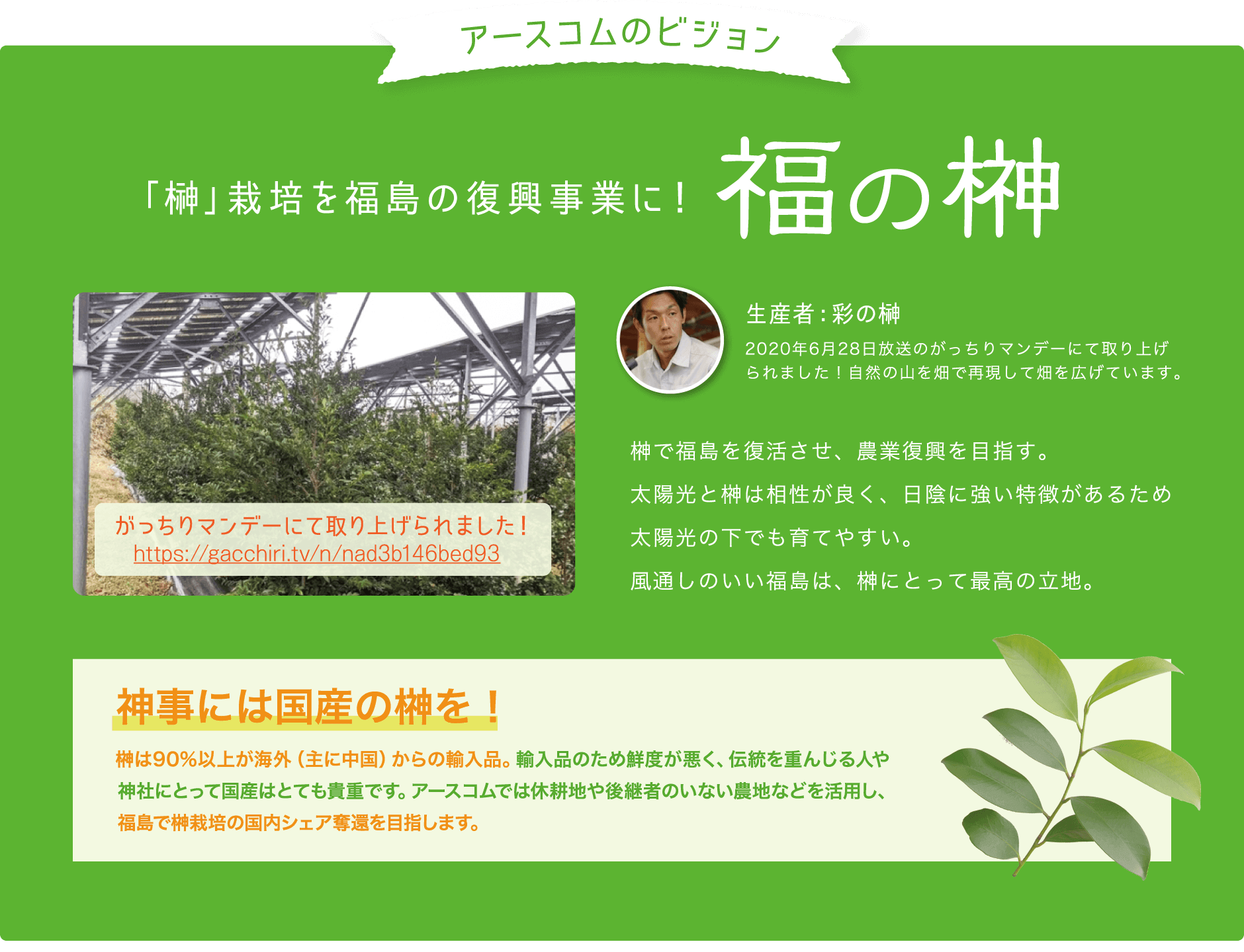 アースコムのビジョン 「榊」栽培を福島の復興事業に！福の榊